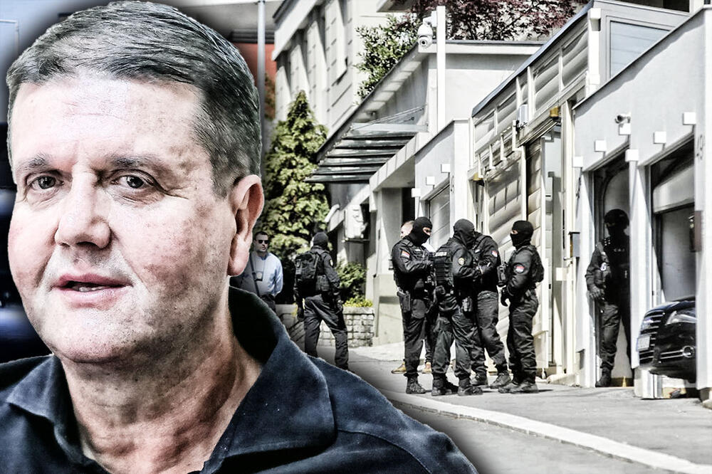 Darko Šarić, Hapšenje, SAJ, Policija