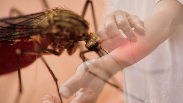 У ОБРЕНОВАЧКИМ НАСЕЉИМА ДАНАС И СУТРА ПРСКАЊЕ КОМАРАЦА: Први на удару Забрежје, Скела, обреновачки Забран... У ОБРЕНОВАЧКИМ НАСЕЉИМА ДАНАС И СУТРА ПРСКАЊЕ КОМАРАЦА: Први на удару Забрежје, Скела, обреновачки Забран...