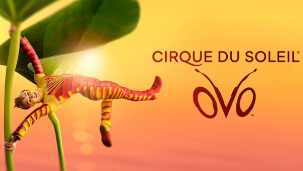 НОВОГОДИШЊА ЧАРОЛИЈА УЗ CIRQUE DU SOLEIL: 20 одсто попуста на представу „OVO“