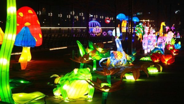 ФЕСТИВАЛ СВЕТЛА И СЕНКИ КАО БРЕНД БЕОГРАДА: Трансформација урбаног простора кроз уметничке инсталације