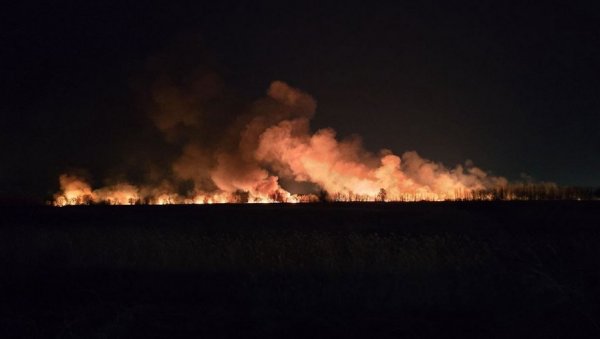 ВЕЛИКИ ПОЖАР У РИТУ ИЗМЕЂУ БЕОЧИНА И РАКОВЦА: Куће нису угрожене (ФОТО)