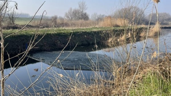 КО КРИЈЕ УЗРОКЕ ПОМОРА? Два месеца после угинућа птица и риба у Kрњачи, разлог непознат